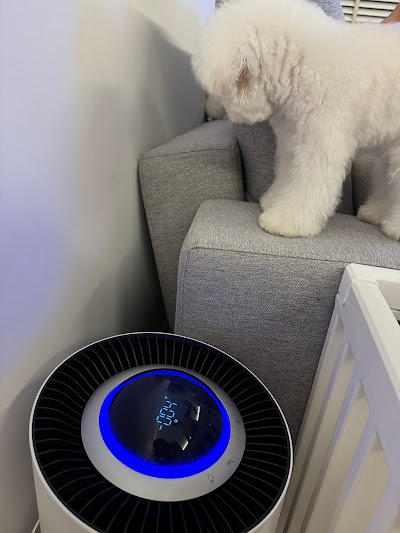 Sterra Paws™ True HEPA-14 Pet Air Purifier - Customer Photo From Koo Yun X