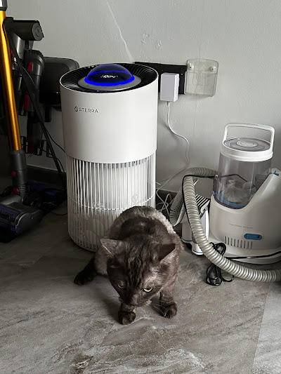 Sterra Paws™ True HEPA-14 Pet Air Purifier - Customer Photo From Sherlyn K.