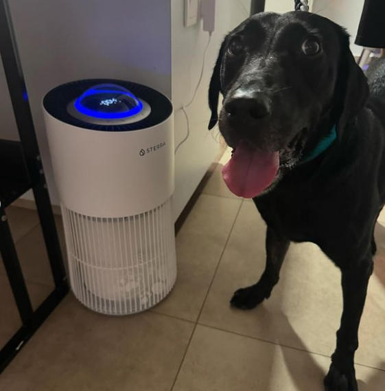 Sterra Paws™ True HEPA-14 Pet Air Purifier - Customer Photo From Vanishree N