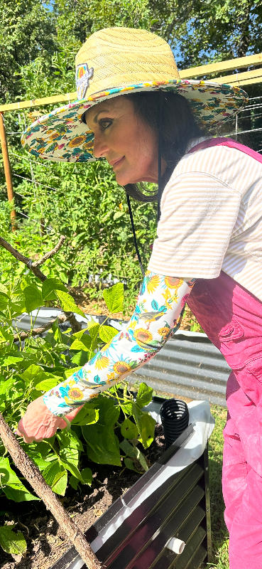 Protection Sleeves - Vegetable Harvest - Customer Photo From Sheila Abla