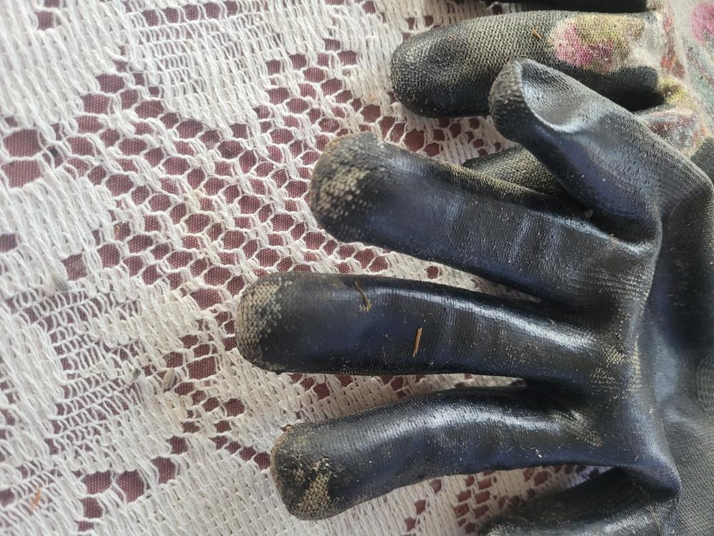 PU Cut Resistant Gardening Gloves - Garden Flower - Customer Photo From Lorelei Steinhagen