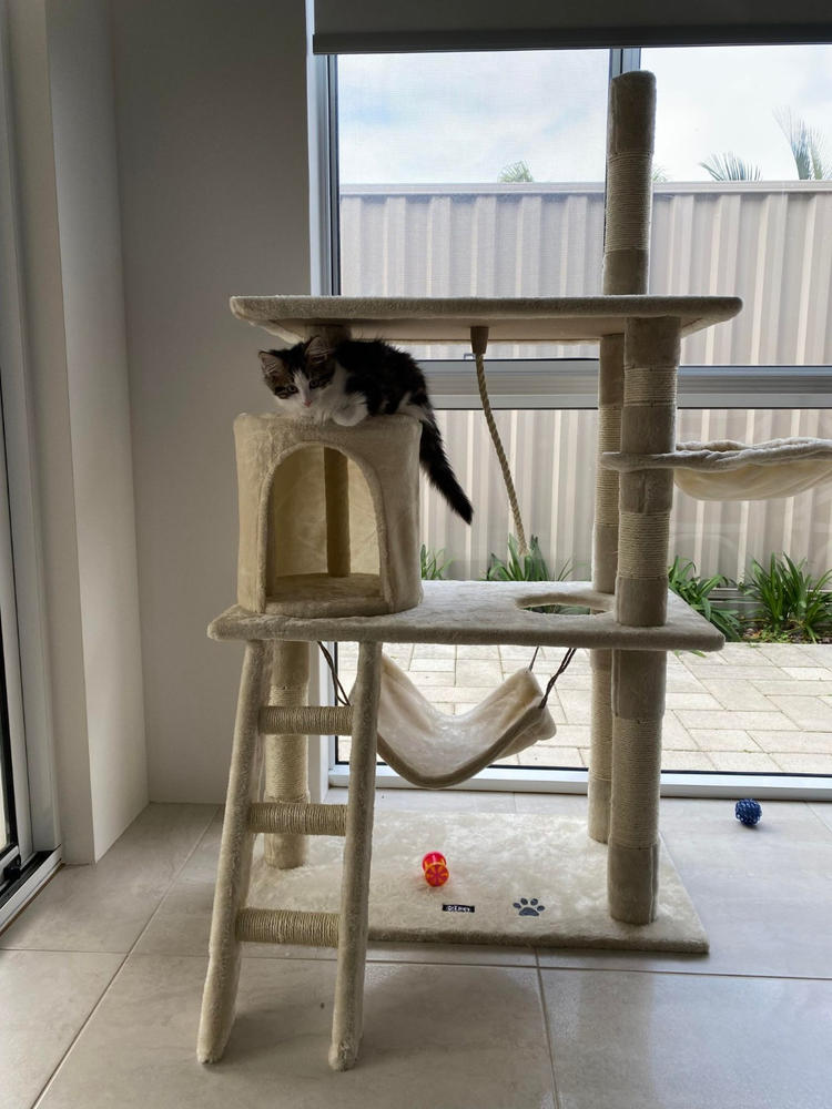 141cm Cat Scratching Post - Beige - Customer Photo From Sharna Sibson