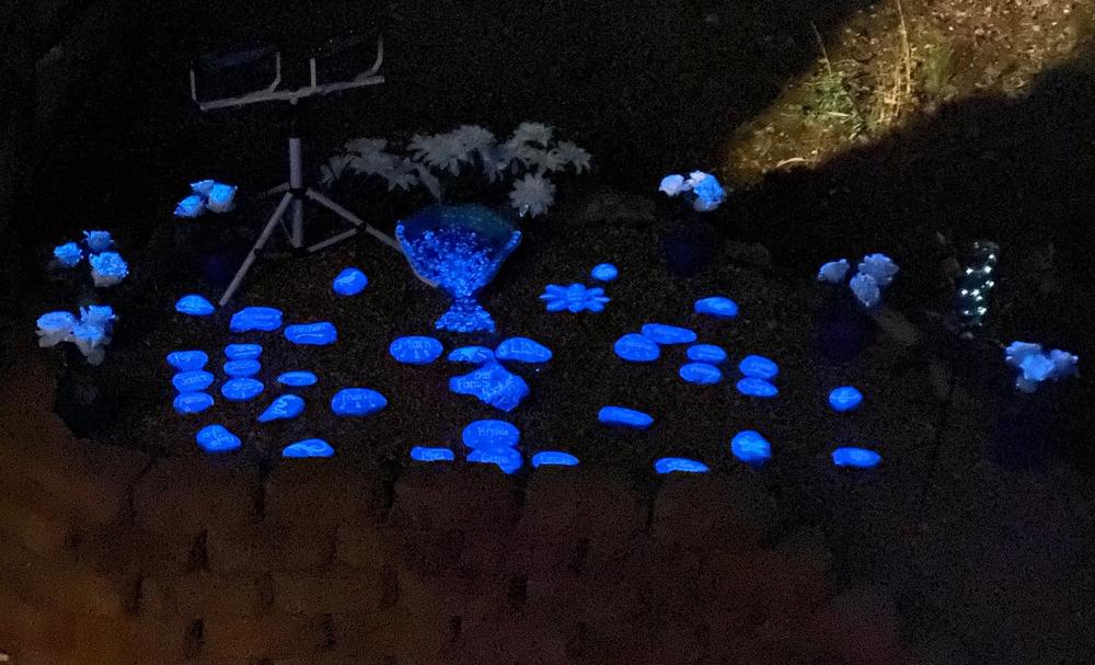 Phosphorescent Glow in the Dark Paint - Blue - Customer Photo From Lisa Gerken