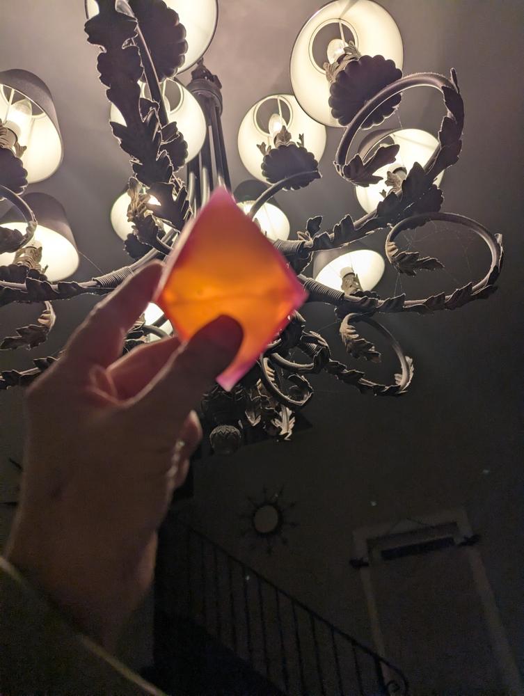 The PolySquish Discovery Series - Customer Photo From Tania Ishii