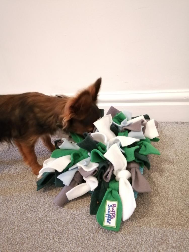 Choose your own colours Ruffle Snuffle mat - Customer Photo From Jayde F.