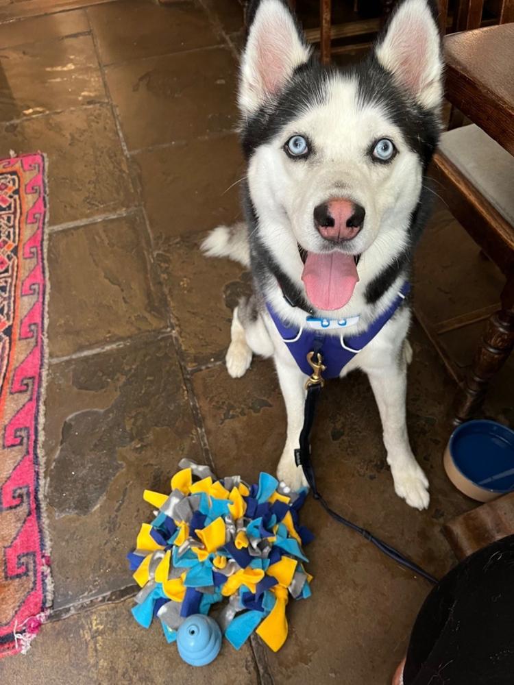 Choose your own colours Ruffle Snuffle mat - Customer Photo From Amy S.