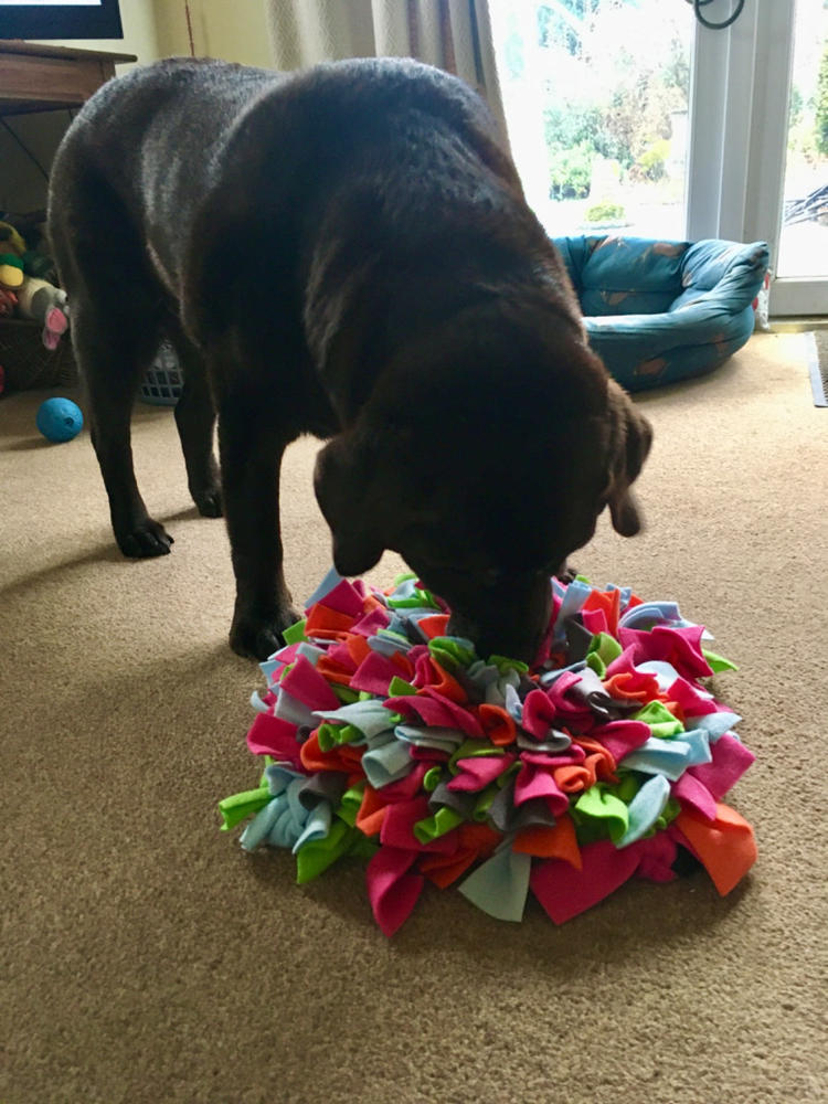 Choose your own colours Ruffle Snuffle mat - Customer Photo From Andrea M.