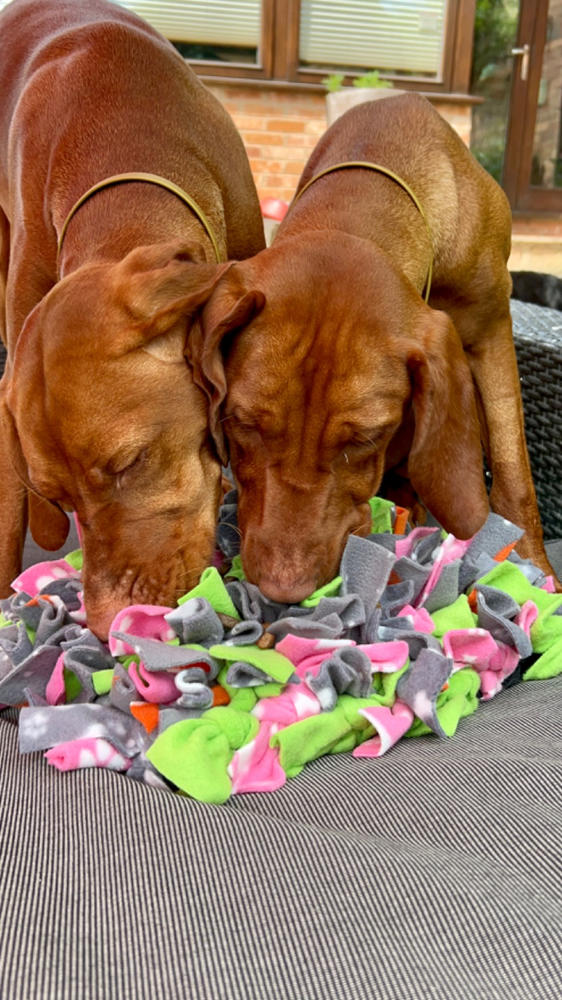 Choose your own colours Ruffle Snuffle mat - Customer Photo From Danielle E.