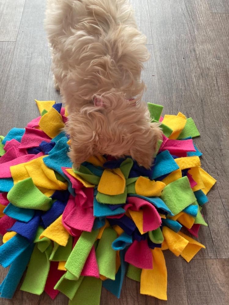 Ruffle Snuffle Magic - Customer Photo From Angela S.
