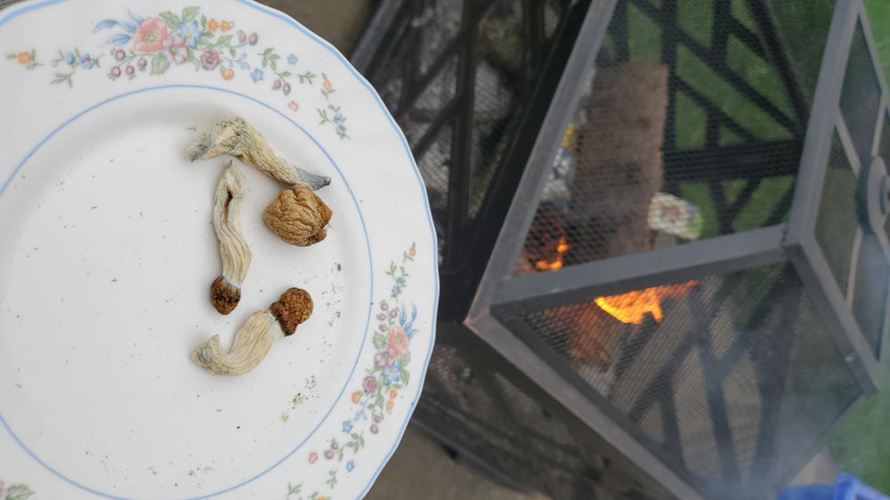 Penis Envy Mushrooms - 28g - Customer Photo From Anonymous