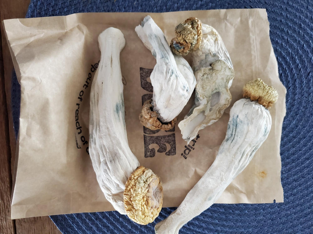 Penis Envy Mushrooms - 28g - Customer Photo From Anonymous