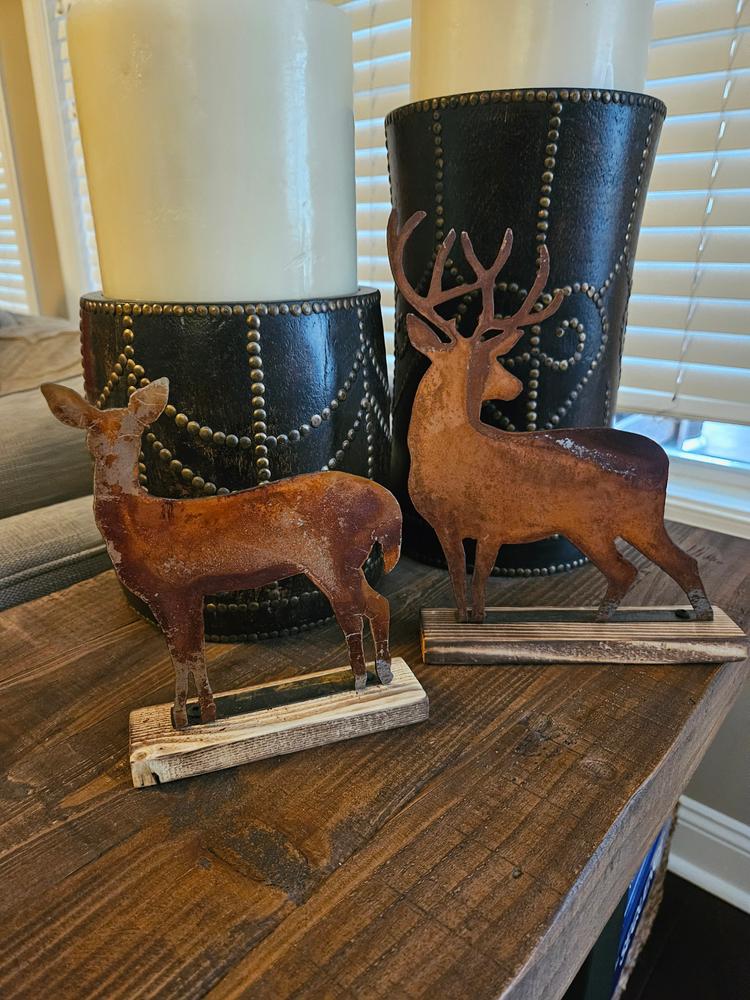 Rusty Metal Deer Stand - Fall Decor - Customer Photo From Todd Bowland