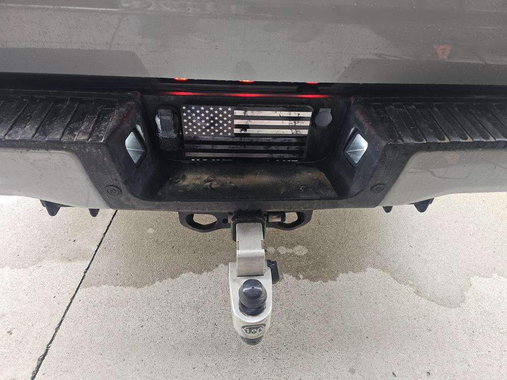 Ford Super Duty F-250/F-350 (2017-2022) LED License Plate Lights - Customer Photo From Thomas Jubb