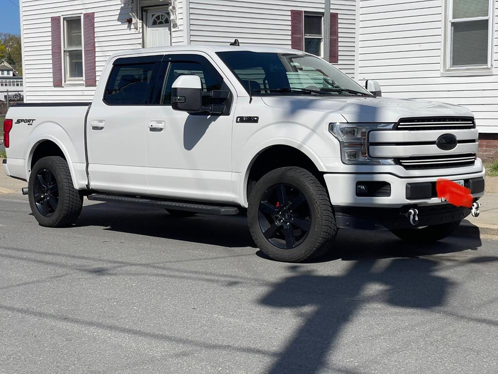 Ford F-150 Tow Mirror Lower Glass (2015-2022) - Customer Photo From Fernando Perez