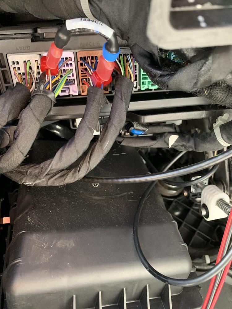 Dual Function (Cargo and Reverse) Wiring Harness - Silverado & Sierra (2014-2024) - Customer Photo From William Russell