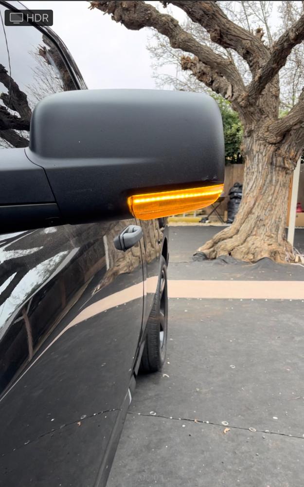 Ram Mirror OBD Sales Code Enabling Tool - Turn Signal & Puddle Light - Customer Photo From Jonathan Cueto