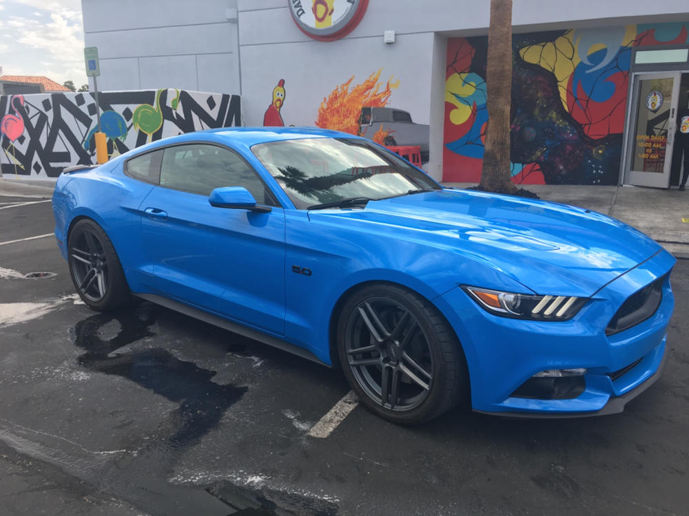 Ceramic Detail Spray BOGO + 1 Tire Dressing FREE - Customer Photo From David Woodbury