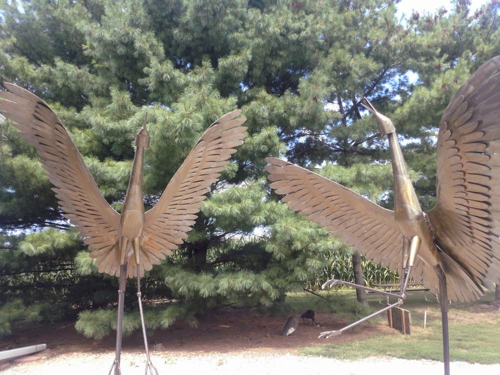 4-1/2" Zirc Flap Disc T27 - 10 Pack - Customer Photo From Larry Allder