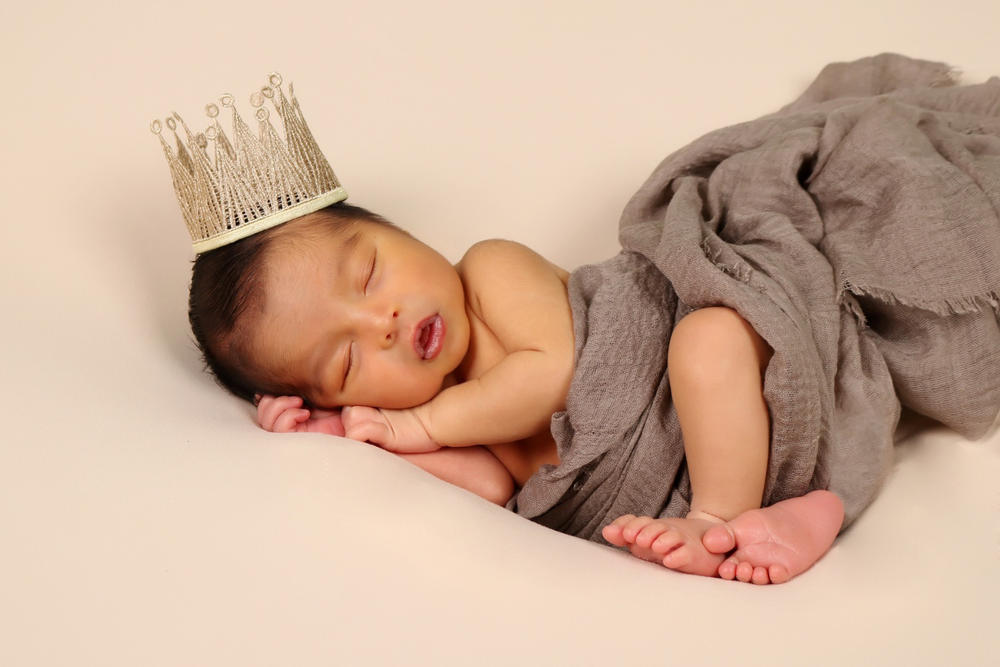 Metallic Backdrop Stand AND Posing Bean Bag kit for newborn photography –  Newborn Studio Props