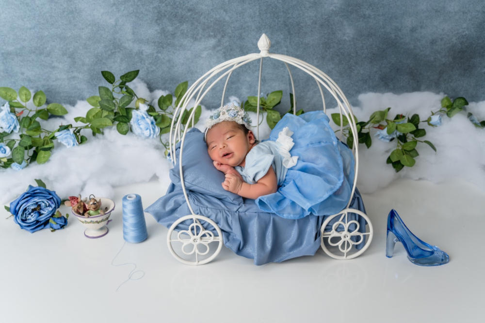 Wire Pumpkin Carriage - Model 3 - Customer Photo From Jessica Davila