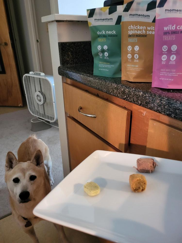 Duck Neck - Customer Photo From Donna Hefton
