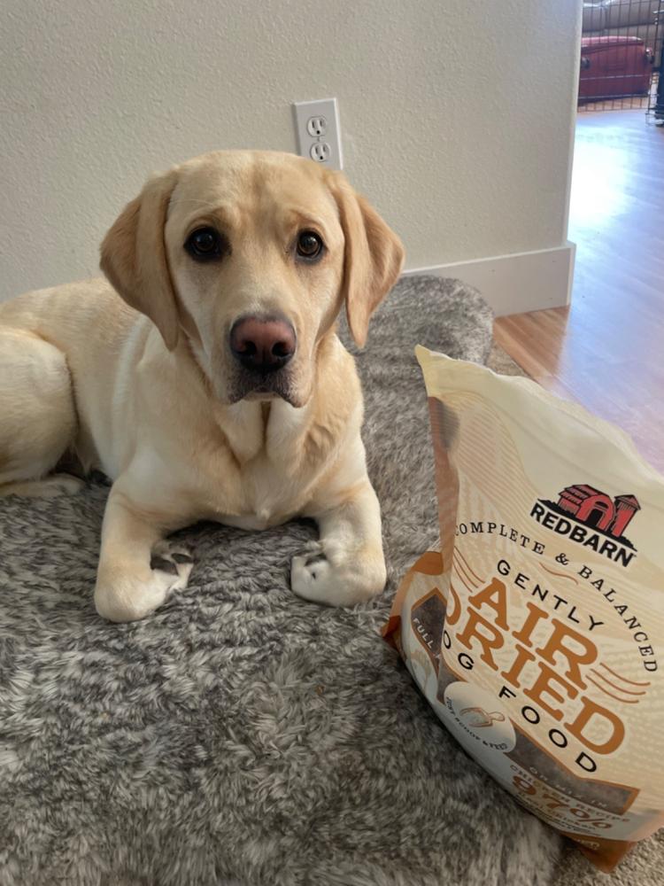 Air Dried Chicken Recipe Dog Food - Customer Photo From Linda Rosen