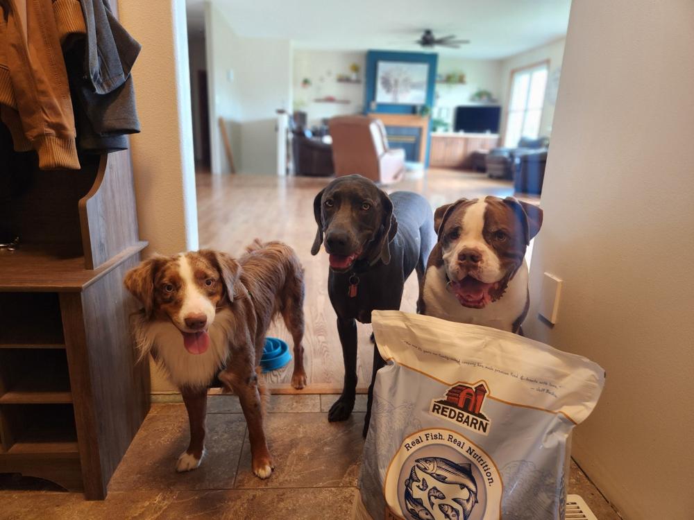 Whole Grain Ocean Recipe Dog Food - Customer Photo From Jamie Weiss