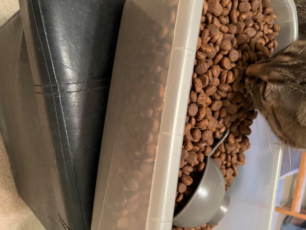 Grain-Free Sky Recipe Dog Food - Customer Photo From Mary Huey