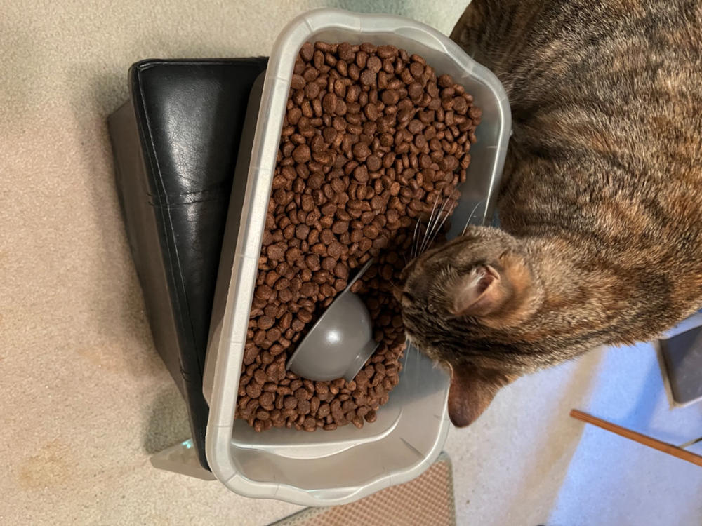 Grain-Free Sky Recipe Dog Food - Customer Photo From Mary Huey