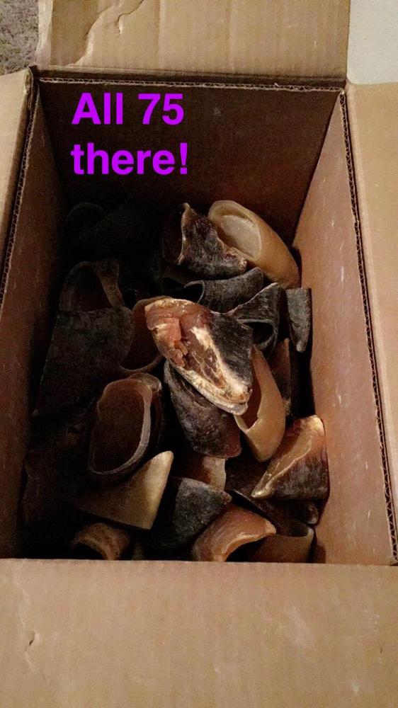 Cow Hoof - Customer Photo From Heather