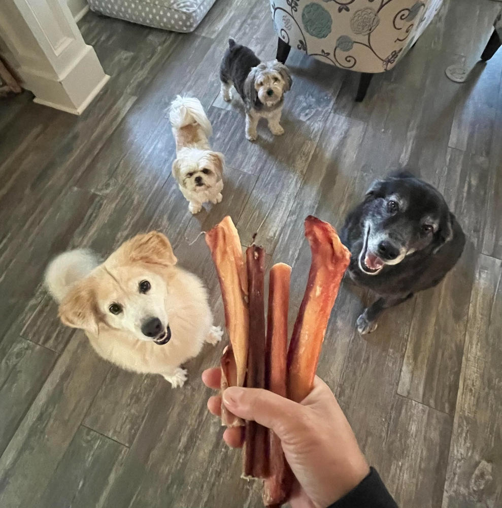 Odor-Free Bully Stick - Customer Photo From Ginger Wentz