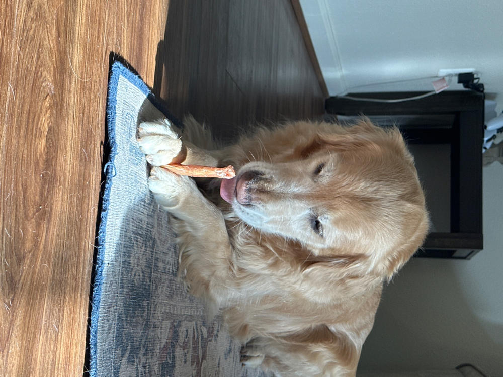 Bully Stick - Customer Photo From Jaime Espinoza