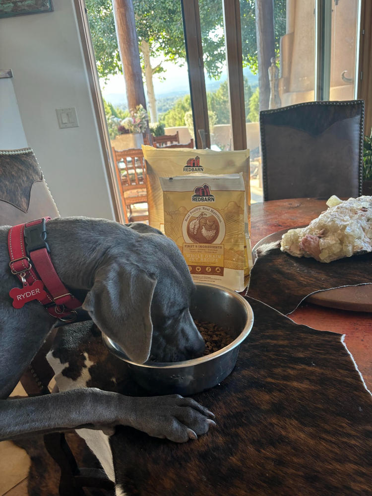 Whole Grain Sky Recipe Dog Food - Customer Photo From Giovanna Eisberg