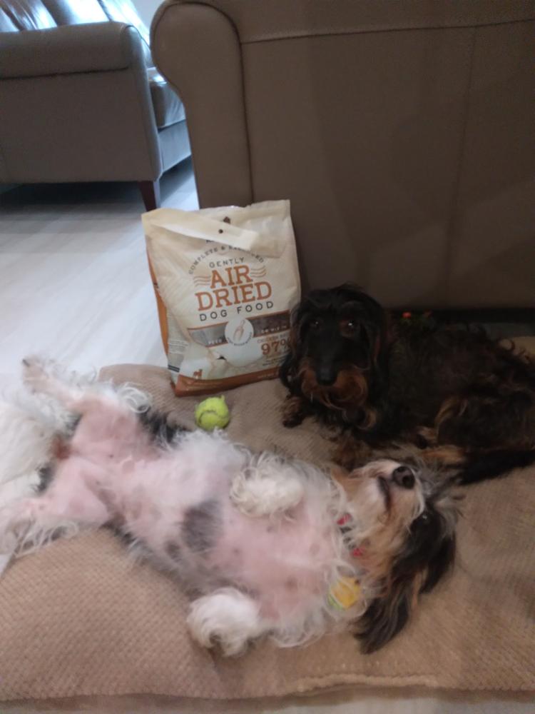 Grain-Free Land Recipe Dog Food - Customer Photo From Dolores Colichon