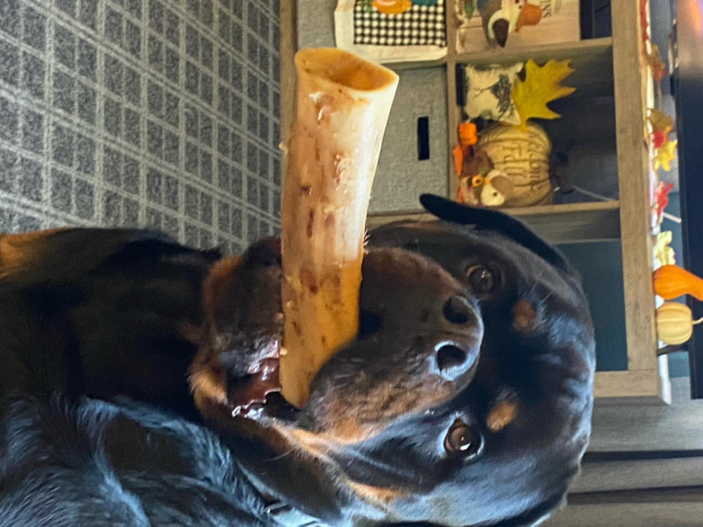 Meaty Bone - Customer Photo From AMY D SHACKELTON