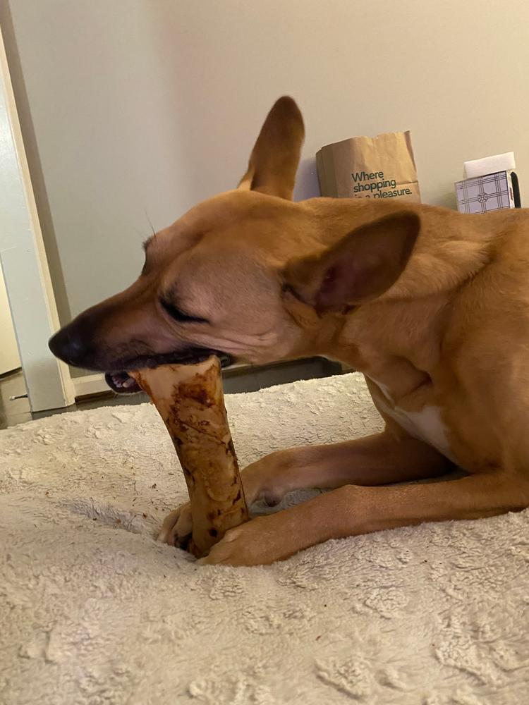 Meaty Bone - Customer Photo From Sarah