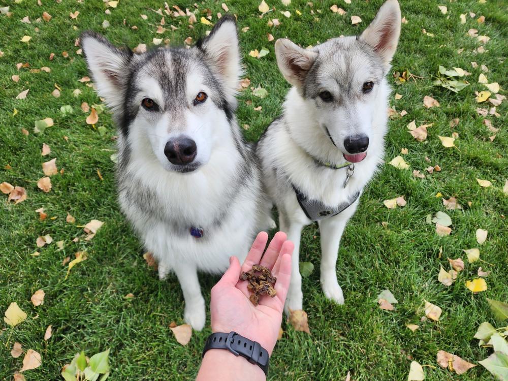 Air Dried Beef Recipe Dog Food - Customer Photo From Carina Woodruff