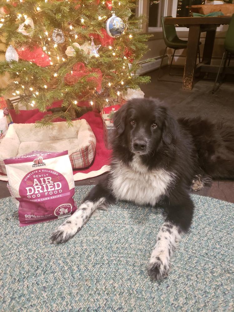 Air Dried Beef Recipe Dog Food - Customer Photo From karyn petersen