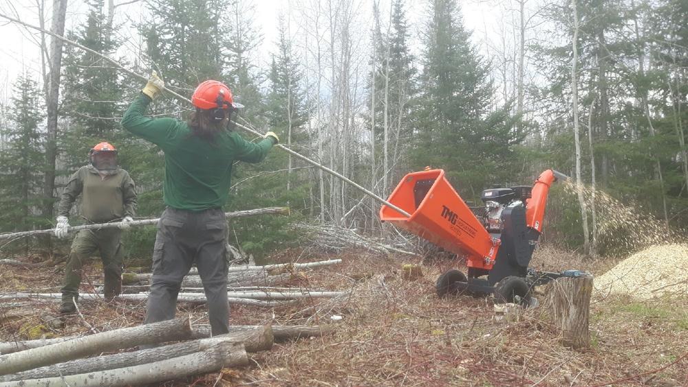 6" Wood Chipper with Kohler 14 HP Gas Engine, 2" Hitch Tow-Behind - Customer Photo From Alex Davidson