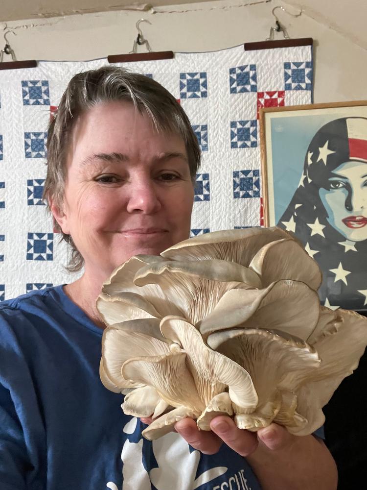 Organic Blue Oyster ‘Spray & Grow’ Mushroom Growing Kit - Customer Photo From Cyndi J