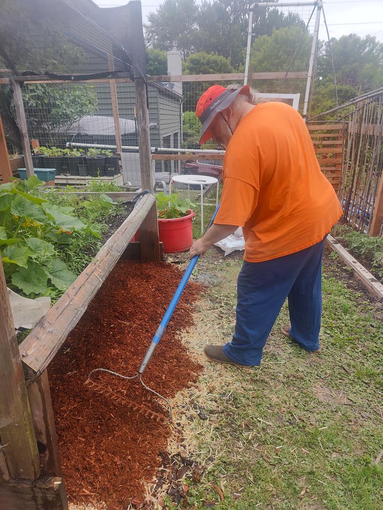 Organic Wine Cap Mushroom Sawdust Spawn - Customer Photo From Monica Monson