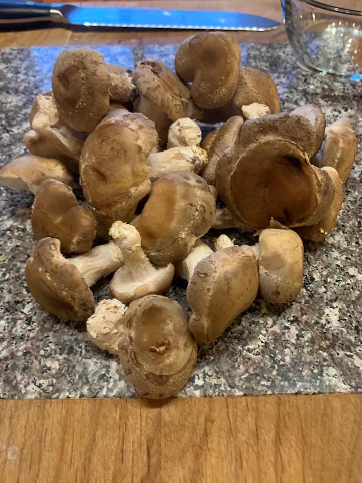 Organic Shiitake Mushroom Grow Kit Fruiting Block - Customer Photo From Collet C
