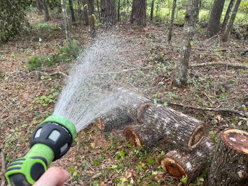 Organic Shiitake Mushroom Plug Spawn - Customer Photo From Stuart Arceneaux