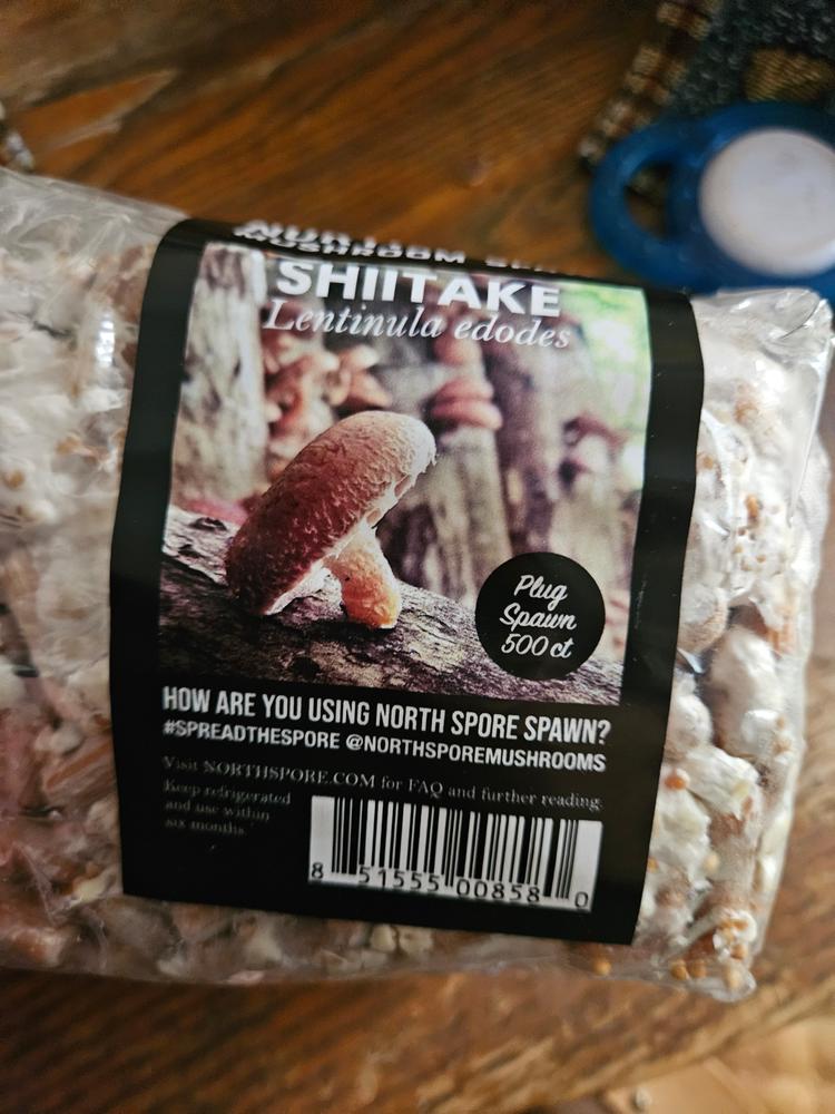 Organic Shiitake Mushroom Plug Spawn - Customer Photo From Rachel Childers 
