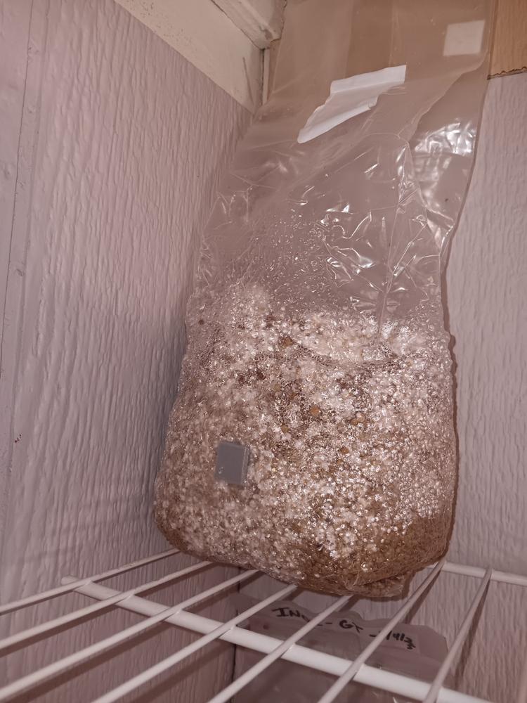 Organic Sterilized Grain Bag with Injection Port - Customer Photo From Dustin Allen