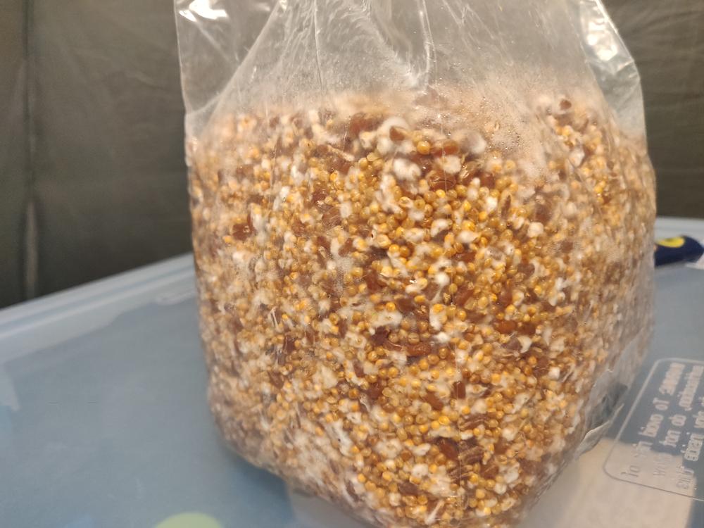 Organic Sterilized Grain Bag with Injection Port - Customer Photo From RC
