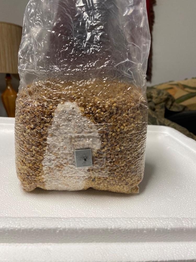 Organic Sterilized Grain Bag with Injection Port - Customer Photo From William Dempsey