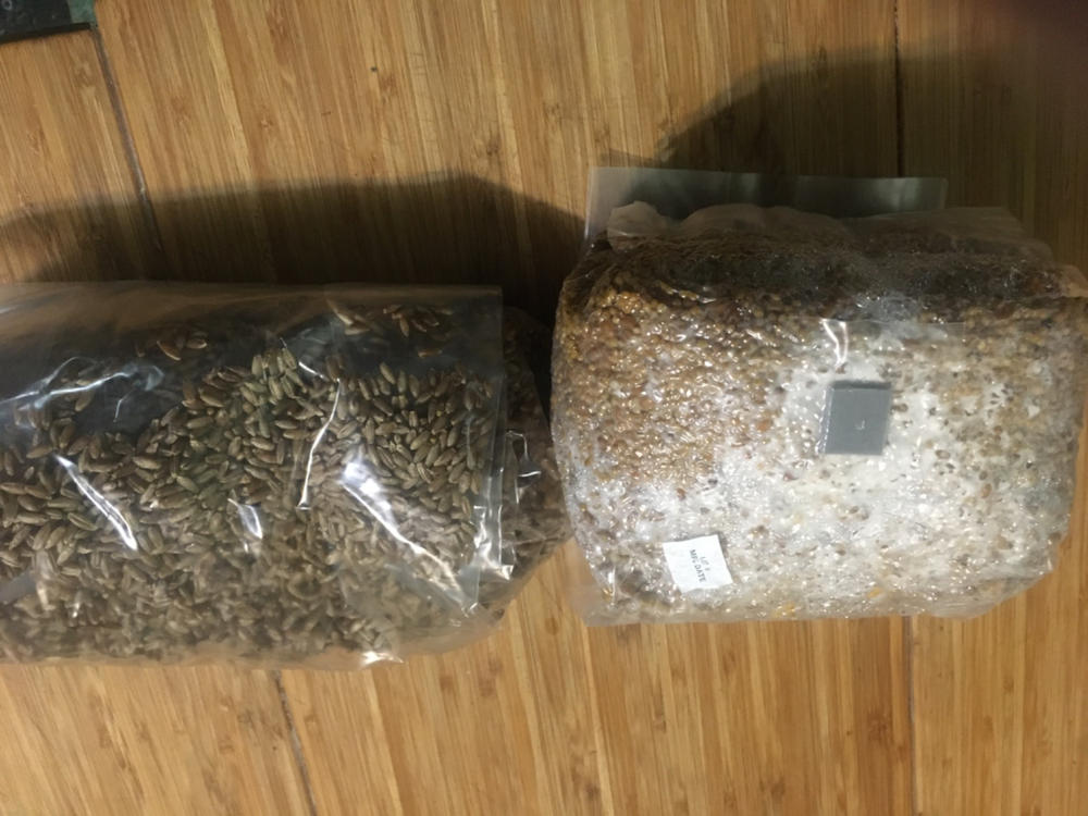 Organic Sterilized Grain Bag with Injection Port - Customer Photo From James Sullins