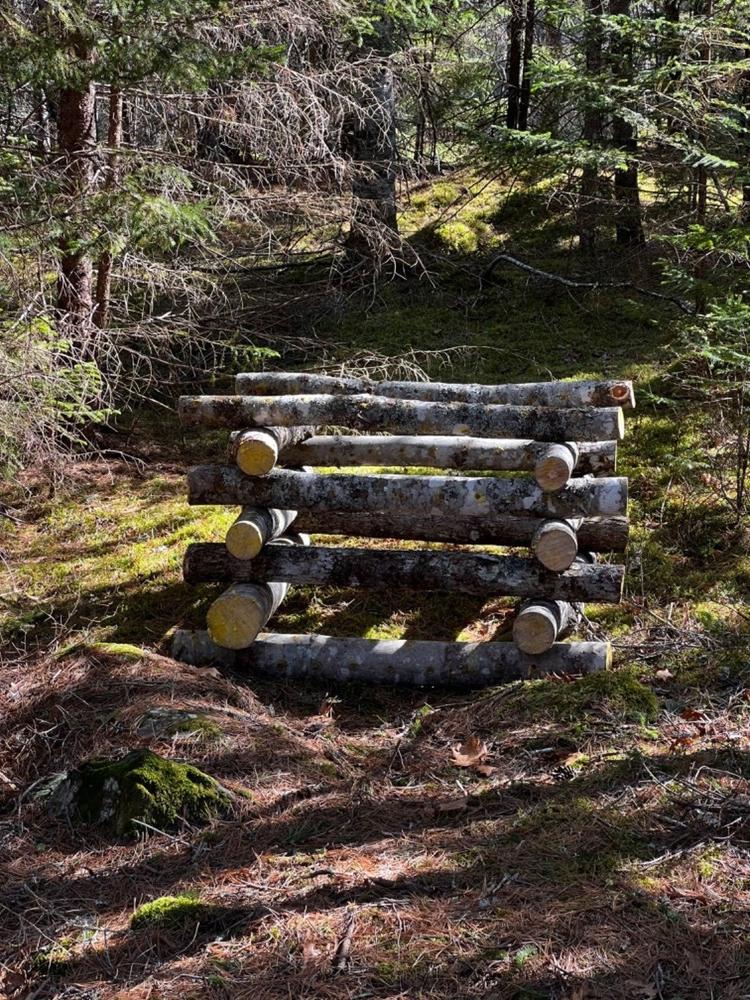 4-Pack Wool Wax Daubers for Log Inoculation - Customer Photo From Luke Rudderham