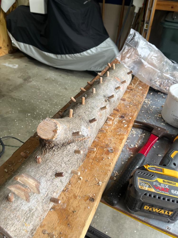 4-Pack Wool Wax Daubers for Log Inoculation - Customer Photo From Stephen Krutz